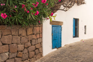 Sicily - Sunny impressions of the Aeolian Islands, also known as Aeolian Islands or Isole Eolie: Lipari, Stromboli, Salina, Vulcano, Panarea, Filicudi and Alicudi. Blue wooden doors and oleanders on the roadside in Panarea. Sicily - Sunny impressions of the Aeolian Islands, also known as Aeolian Islands or Isole Eolie: Lipari, Stromboli, Salina, Vulcano, Panarea, Filicudi and Alicudi. Blue wooden doors and oleanders on the roadside in Panarea.